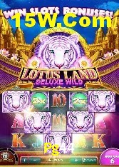 Casino VIP Pg44